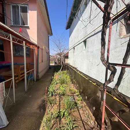 Casa Marina 5 Pensiune